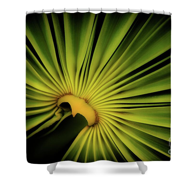 Foliage Shower Curtain featuring the photograph Foliage Burst by Becqi Sherman
