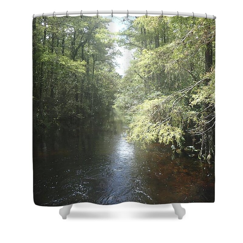 Light Shower Curtain featuring the photograph Follow the light by Denise Cicchella