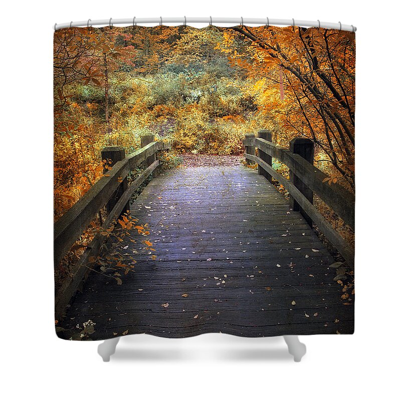 Seasonal Shower Curtain featuring the photograph Footbridge Canopy by Jessica Jenney