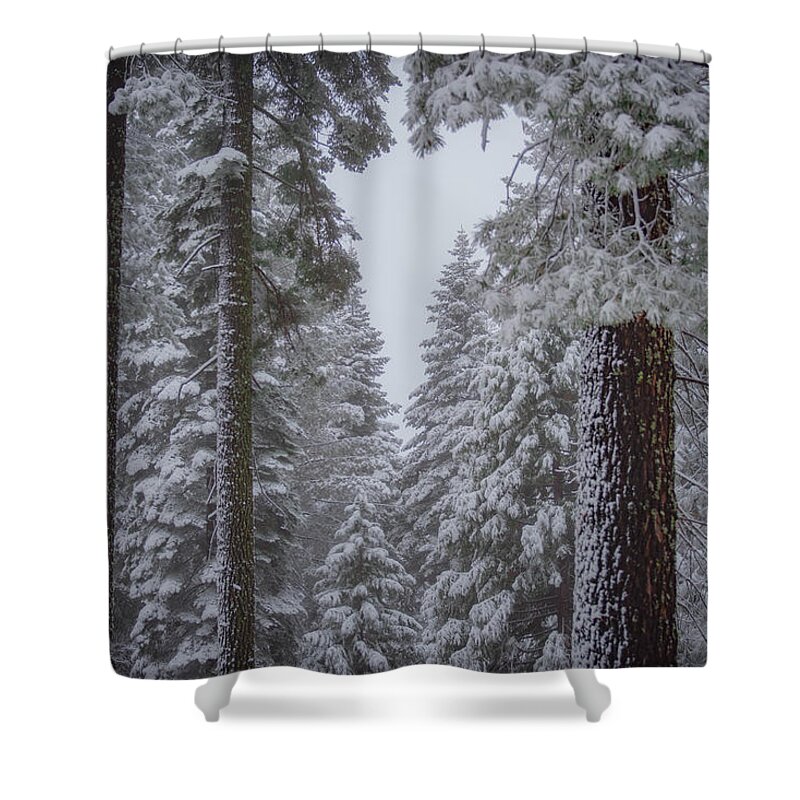 Snow Shower Curtain featuring the photograph For the Love of Snow by Wendy Carrington