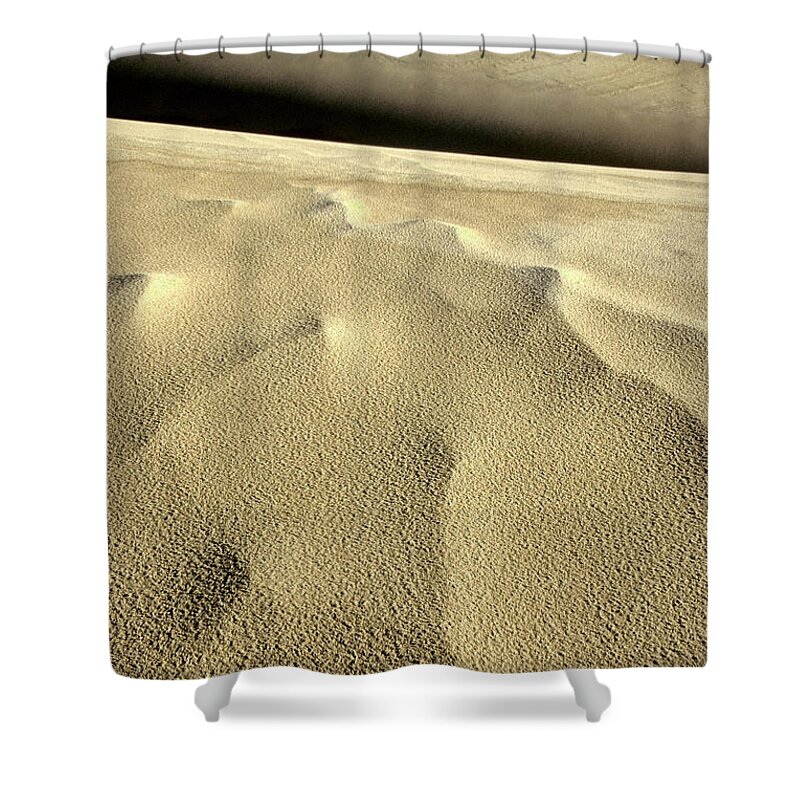 The Walkers Shower Curtain featuring the photograph For Your Consideration by The Walkers
