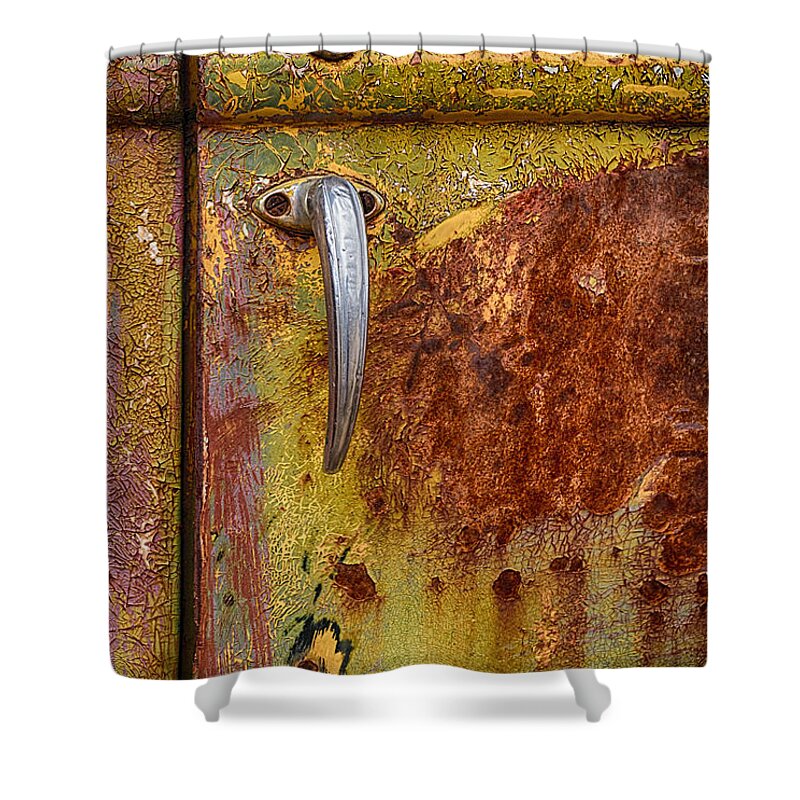 Ford Rusting In Peace Shower Curtain featuring the photograph Ford Rusting in Peace by Priscilla Burgers