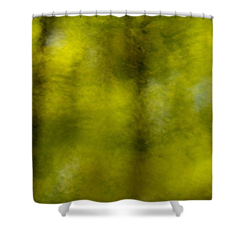 Abstract Shower Curtain featuring the photograph Forest Abstract Reflection by Denise Bush