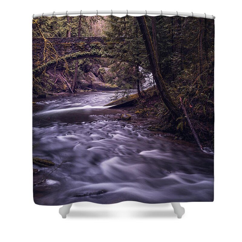 Waterfall Shower Curtain featuring the photograph Forrest Bridge by Chris McKenna