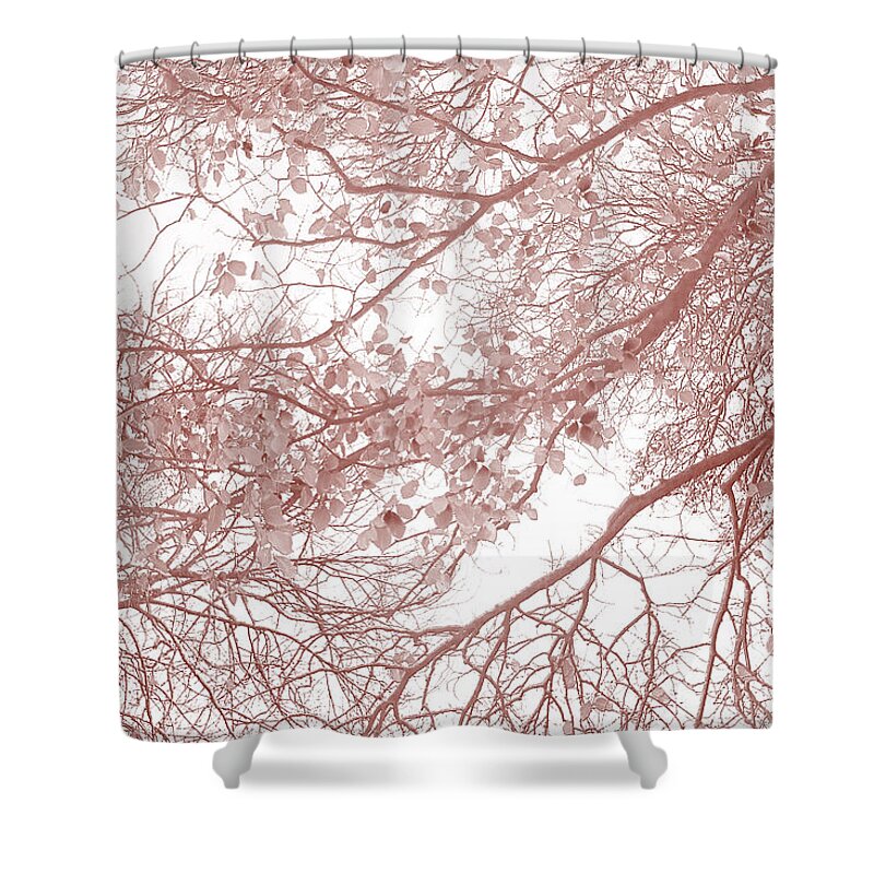 Spring Flowers Shower Curtain featuring the photograph Forest Canopy by Az Jackson