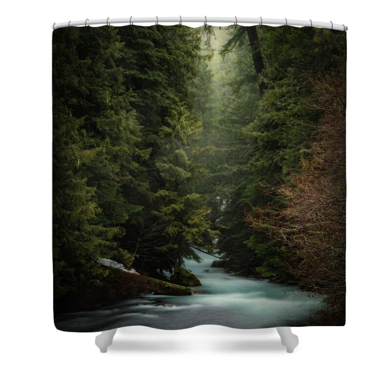 Forest Shower Curtain featuring the photograph Forest Enchantment by Cat Connor
