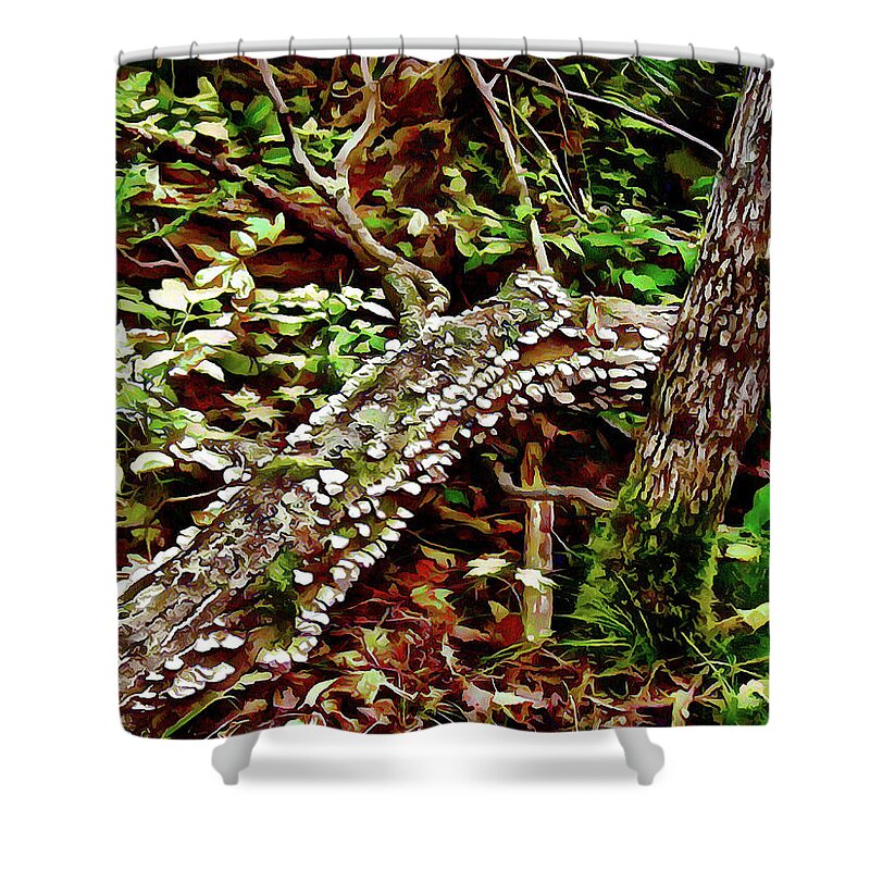 Forest Shower Curtain featuring the digital art Forest Floor by Leslie Montgomery