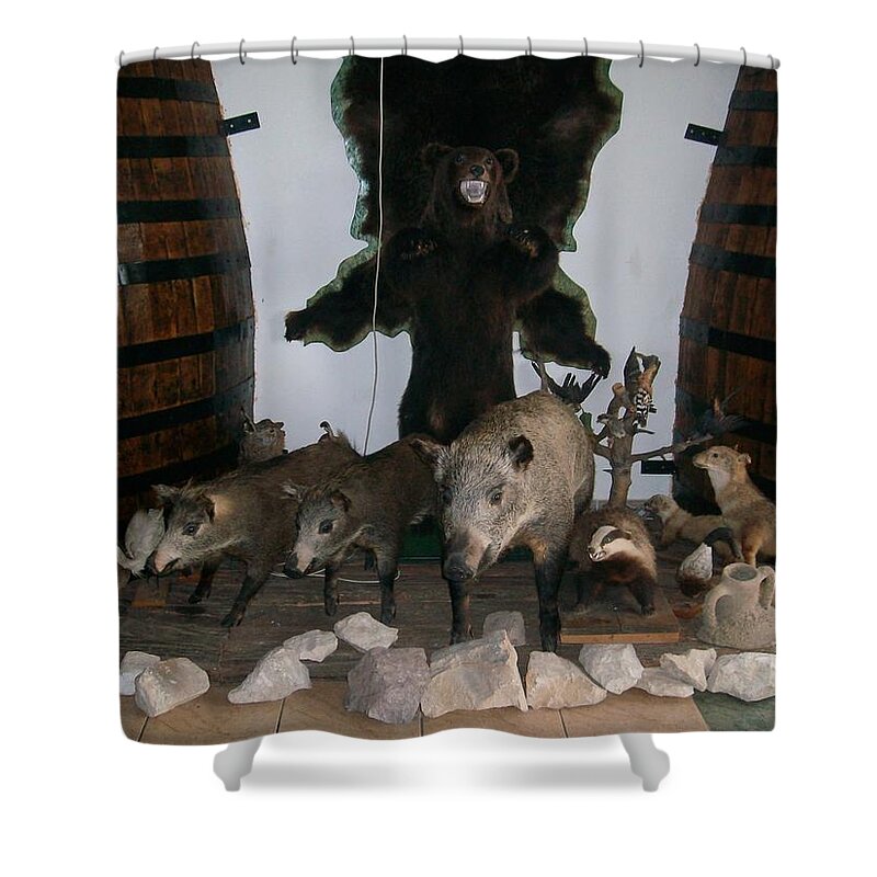 Animals Shower Curtain featuring the photograph Forest friendship by Georgeta Blanaru