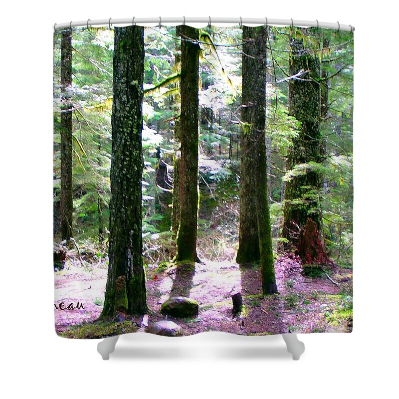 Trees Shower Curtain featuring the photograph Forest Giants by A L Sadie Reneau