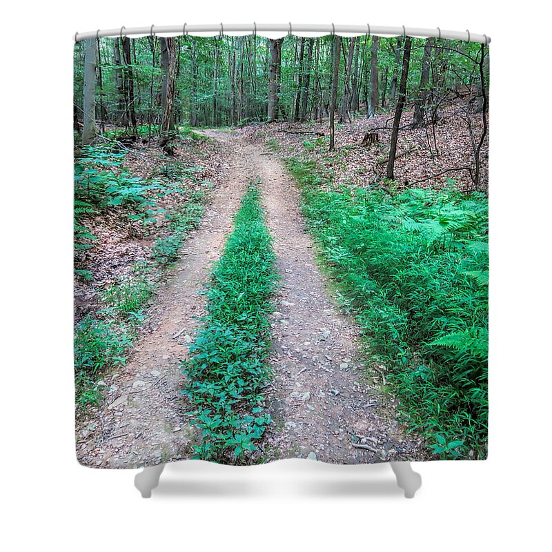 Forest Shower Curtain featuring the photograph Forest Hike by Jean Macaluso
