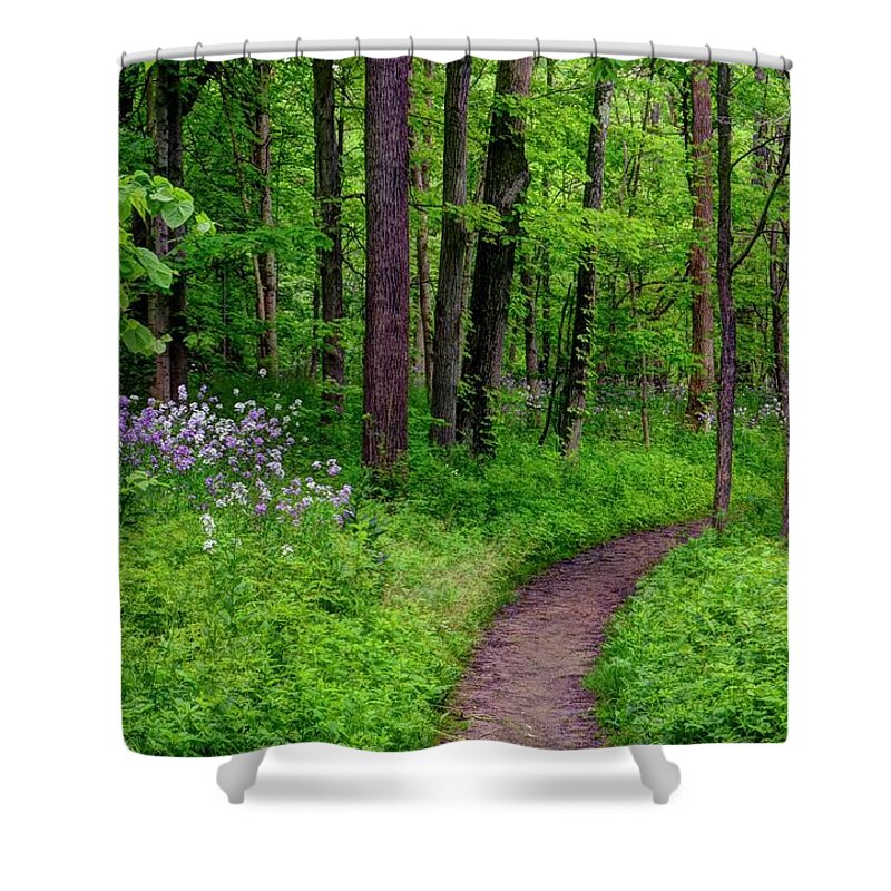 Forrest Shower Curtain featuring the photograph Forest Path by Ann Bridges