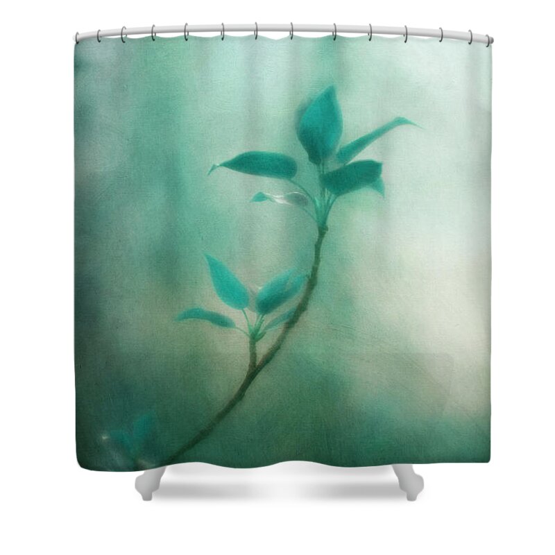 Blue Shower Curtain featuring the photograph In the deep forest 1 by Priska Wettstein