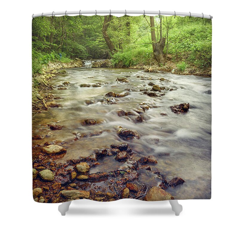Waterfall Shower Curtain featuring the photograph Forest river cascades by Jelena Jovanovic