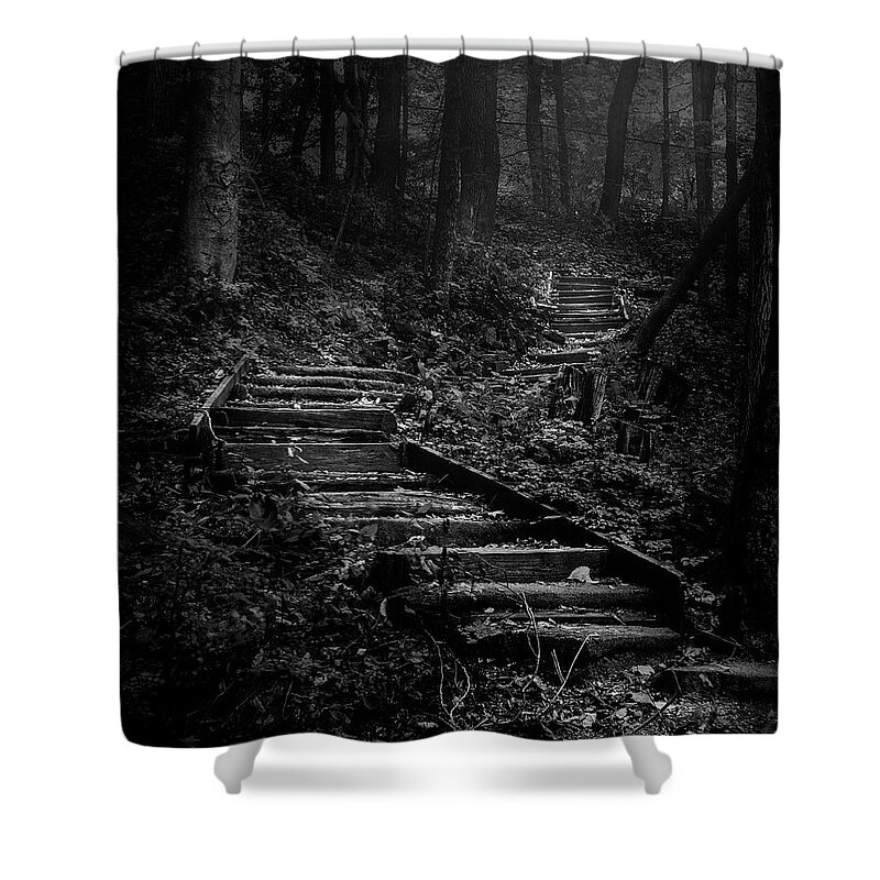 Landscape Shower Curtain featuring the photograph Forest Stairs by Scott Norris