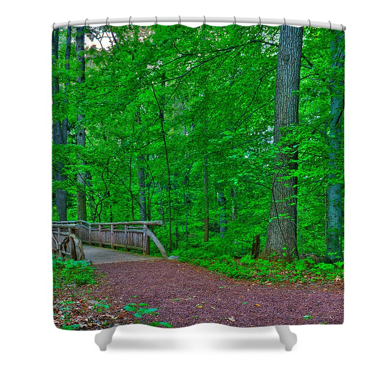 Forest Shower Curtain featuring the photograph Forest walk by Kevin Hill