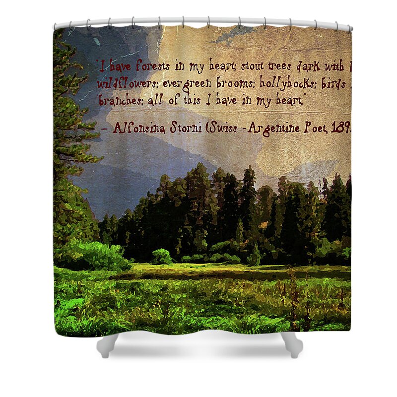 Alfonsina Storni Shower Curtain featuring the photograph Forests in My Heart by Timothy Bulone