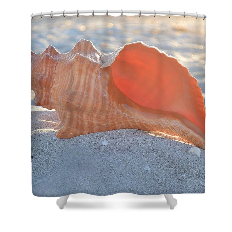 Sanibel Shower Curtain featuring the photograph Forever Sanibel by Melanie Moraga