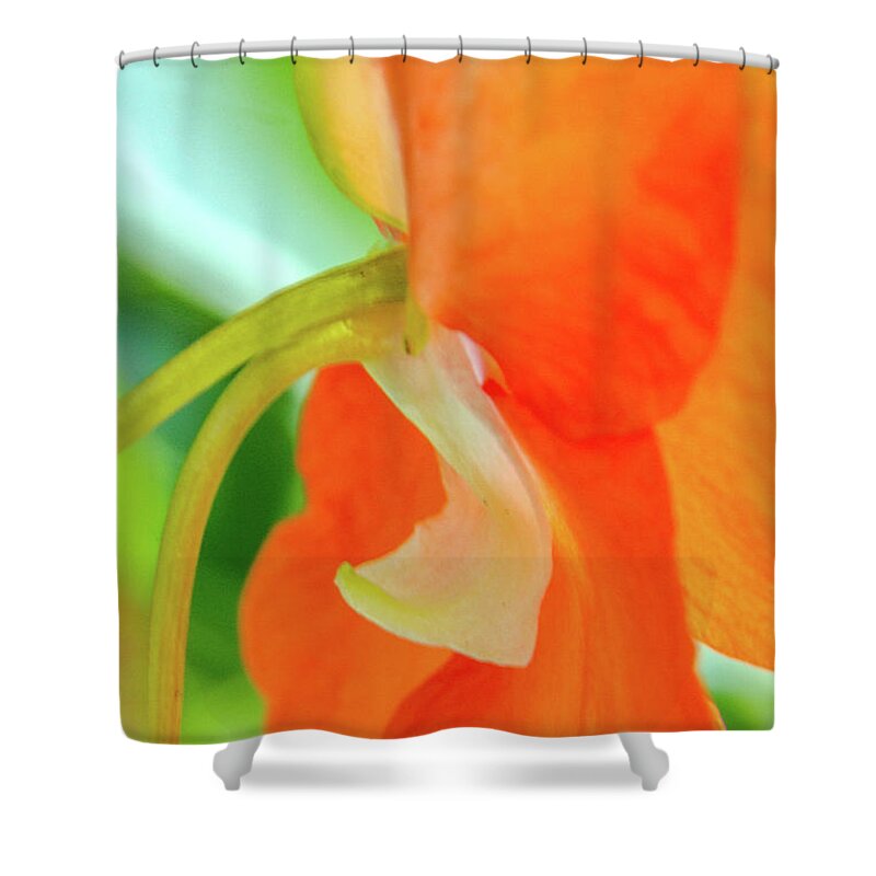 Flower Shower Curtain featuring the photograph Forget Me Not by Bill Gallagher