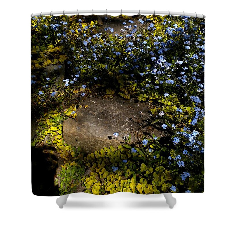 Nature Shower Curtain featuring the painting Forget-me-nots 1 by Renate Wesley