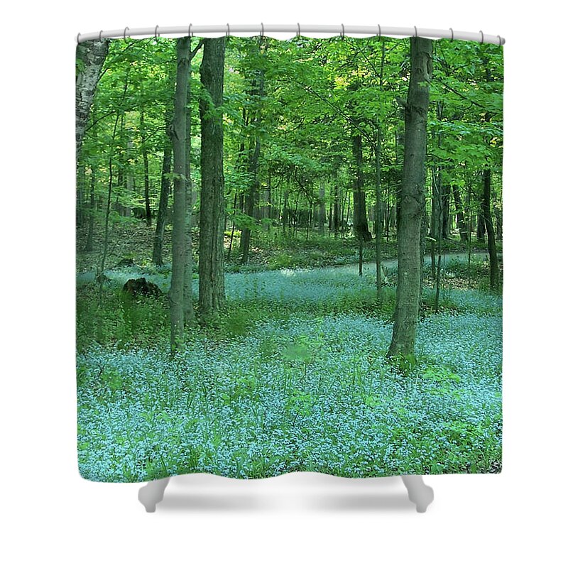 Spring Shower Curtain featuring the photograph Forget-me-nots in Peninsula State Park by David T Wilkinson