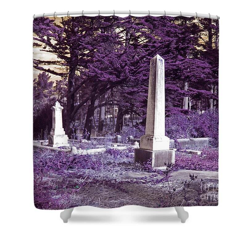 Photography Shower Curtain featuring the photograph Forgotten Monuments by Laura Iverson