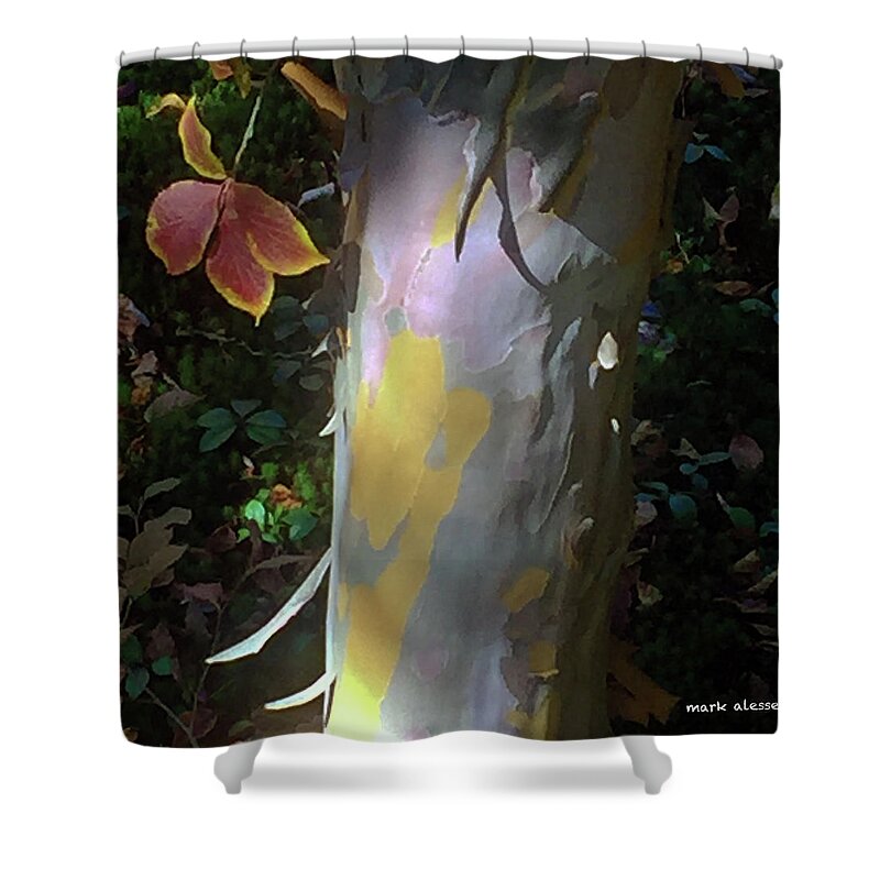 Tree Shower Curtain featuring the photograph Forms by Mark Alesse