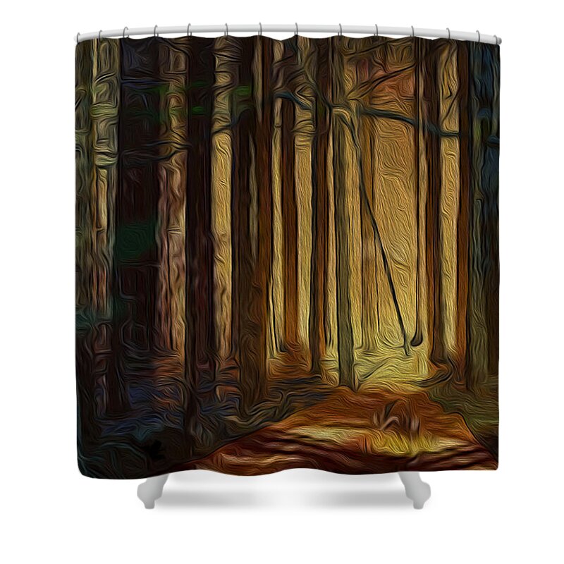 Artwork For Sale Shower Curtain featuring the digital art Forrest sun by Vincent Franco