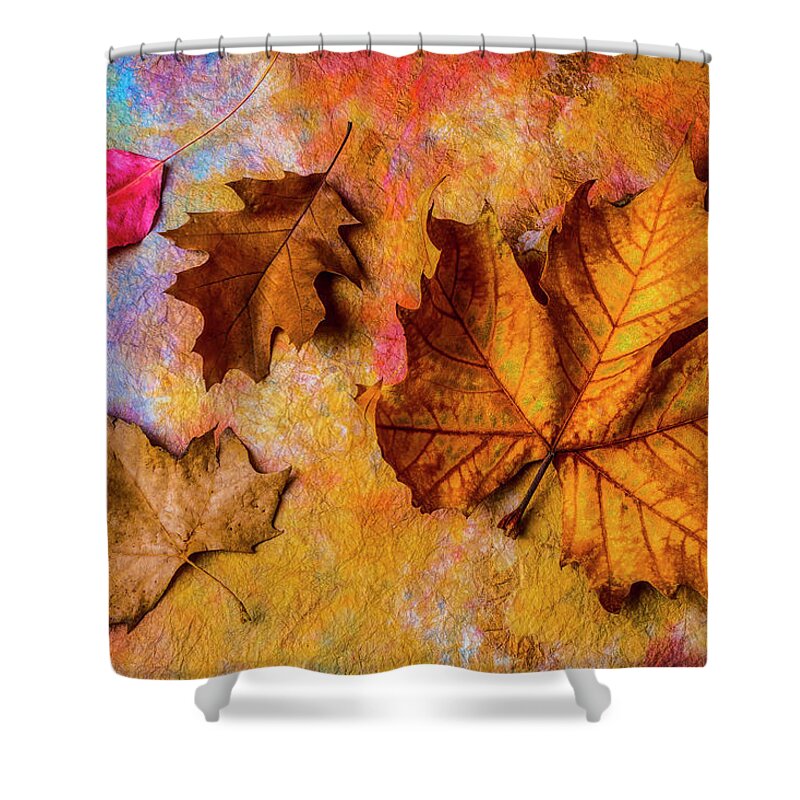 One Shower Curtain featuring the photograph Four Autumn Leaves by Garry Gay