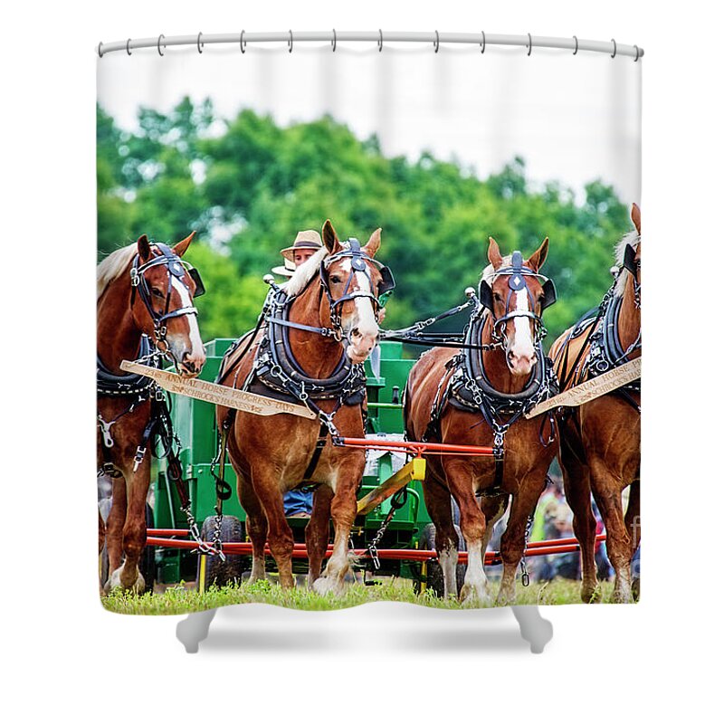 Work Horses Shower Curtain featuring the photograph Four Beauties at Horse Progress Days by David Arment