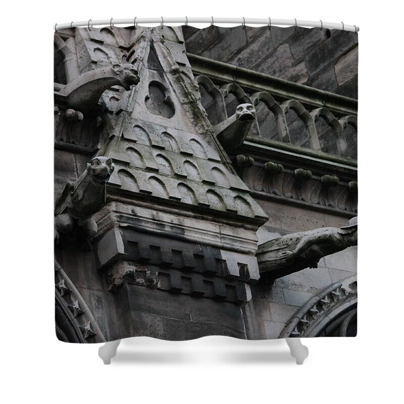 Gargoyles Of Notre Dame Cathedral Shower Curtain featuring the photograph Four Gargoyles on Notre Dame North by Christopher J Kirby
