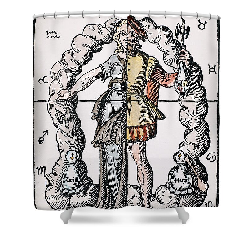 1574 Shower Curtain featuring the drawing Four Humors by Granger