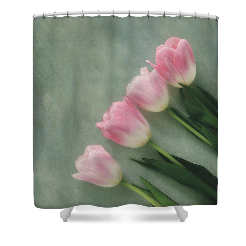 Tulip Shower Curtain featuring the photograph Four Pink Tulips by Kim Hojnacki