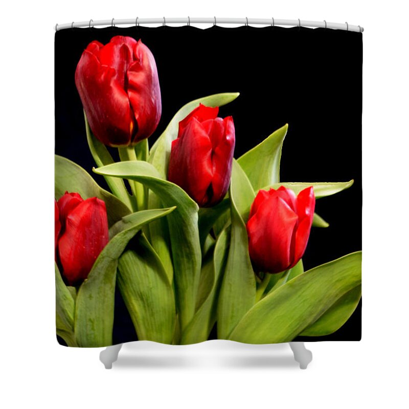 Tulips Shower Curtain featuring the photograph Four Tulips by R Allen Swezey
