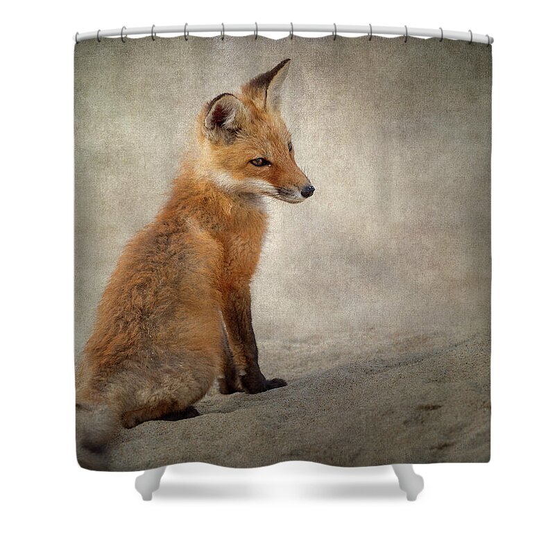 Fox Shower Curtain featuring the photograph Fox Kit 2018 by Bill Wakeley
