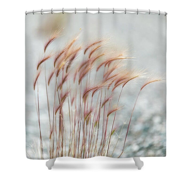 Foxtails Shower Curtain featuring the photograph Foxtails by Valerie Pond