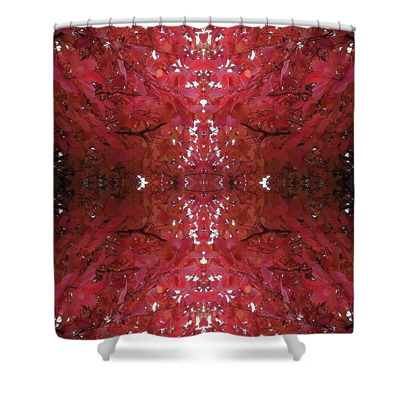 Fractal Shower Curtain featuring the photograph Fractal Cb from Tree Photo 799 by Julia Woodman