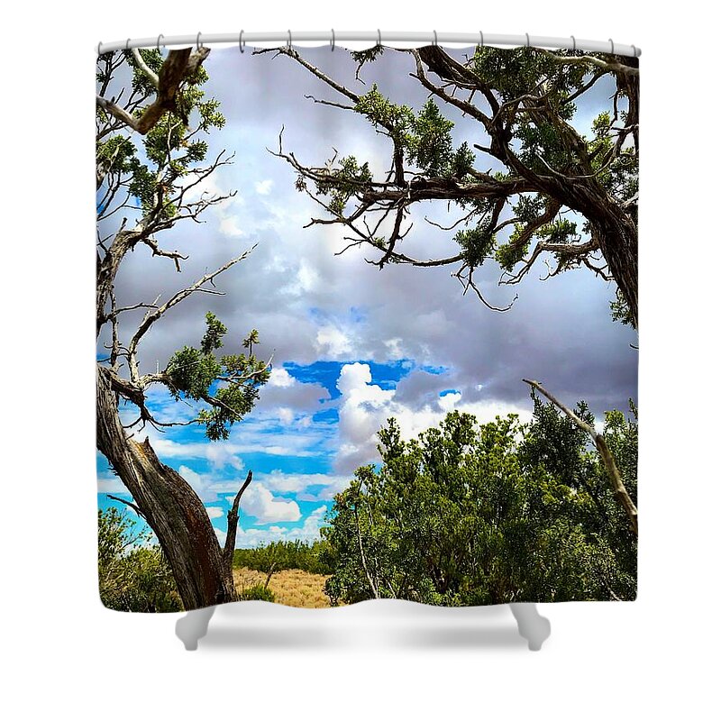 Clouds Shower Curtain featuring the photograph Frame By Juniper by Brad Hodges