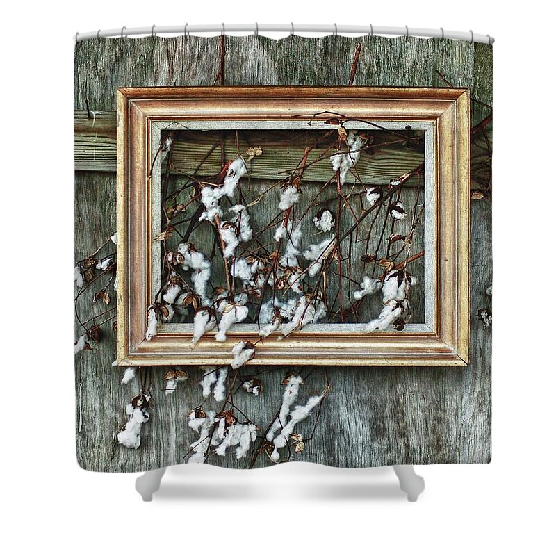 Black And White Shower Curtain featuring the painting Framed Cotton by Michael Thomas