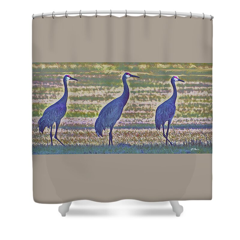 Cranes Shower Curtain featuring the digital art Frasier, Martin and Niles by Claudia O'Brien