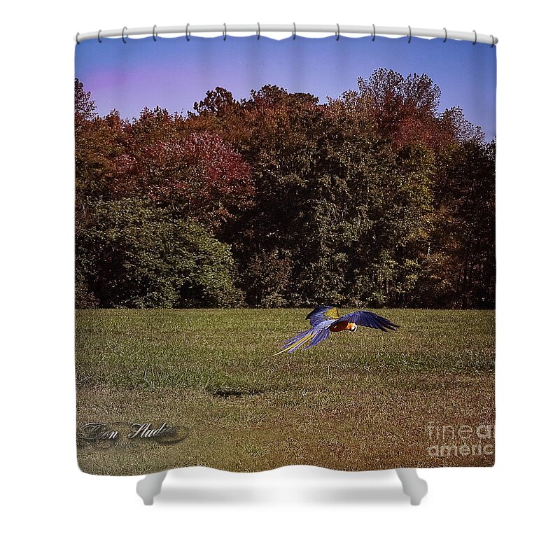 Macaws Shower Curtain featuring the photograph Free Flighted Macaw by Melissa Messick