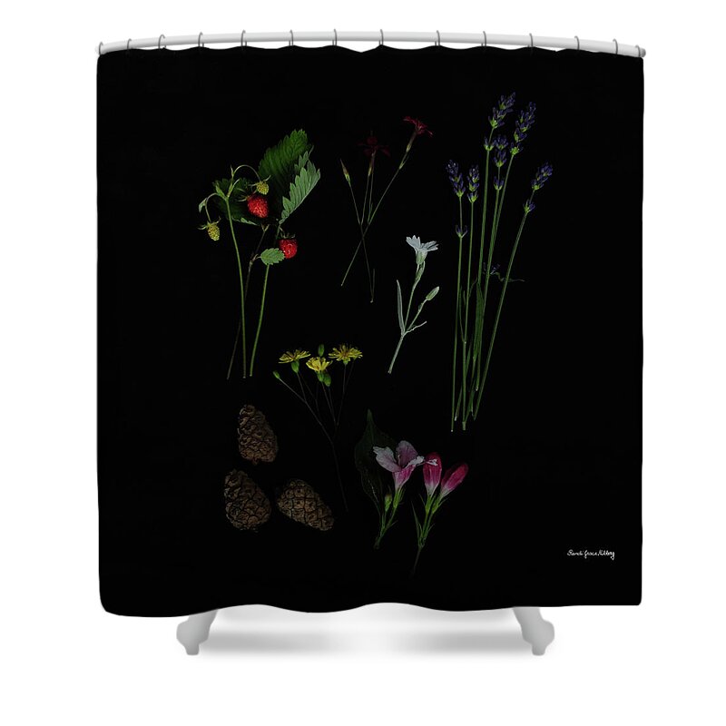 Dark Shower Curtain featuring the photograph Free Pleasures by Randi Grace Nilsberg