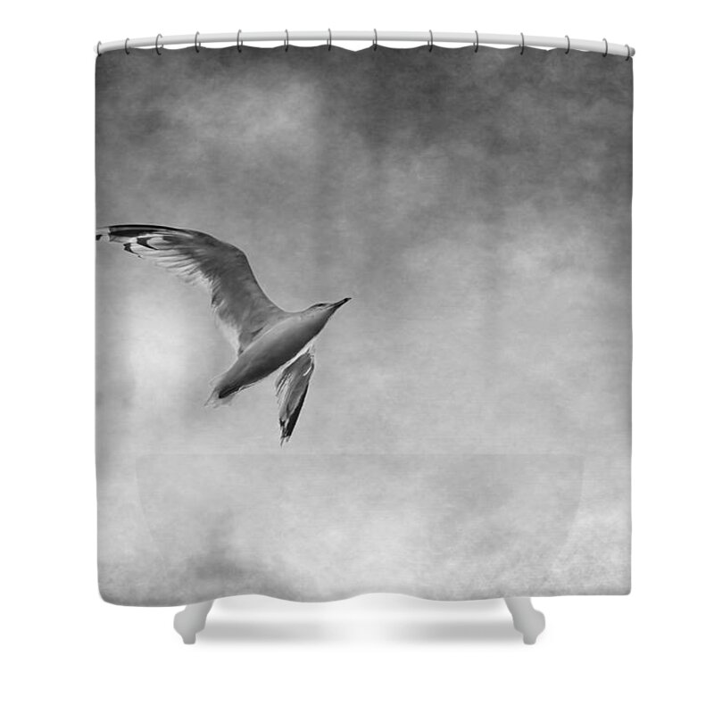 Seagull Shower Curtain featuring the photograph Freedom in Black and White by Maggie Terlecki