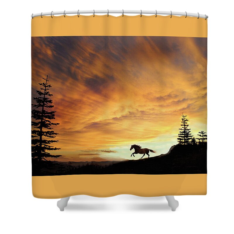 Sunset Shower Curtain featuring the photograph Freedom by Melinda Hughes-Berland