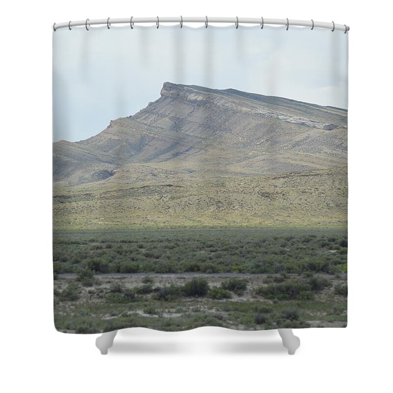  Shower Curtain featuring the photograph Freedom by Michelle Hoffmann