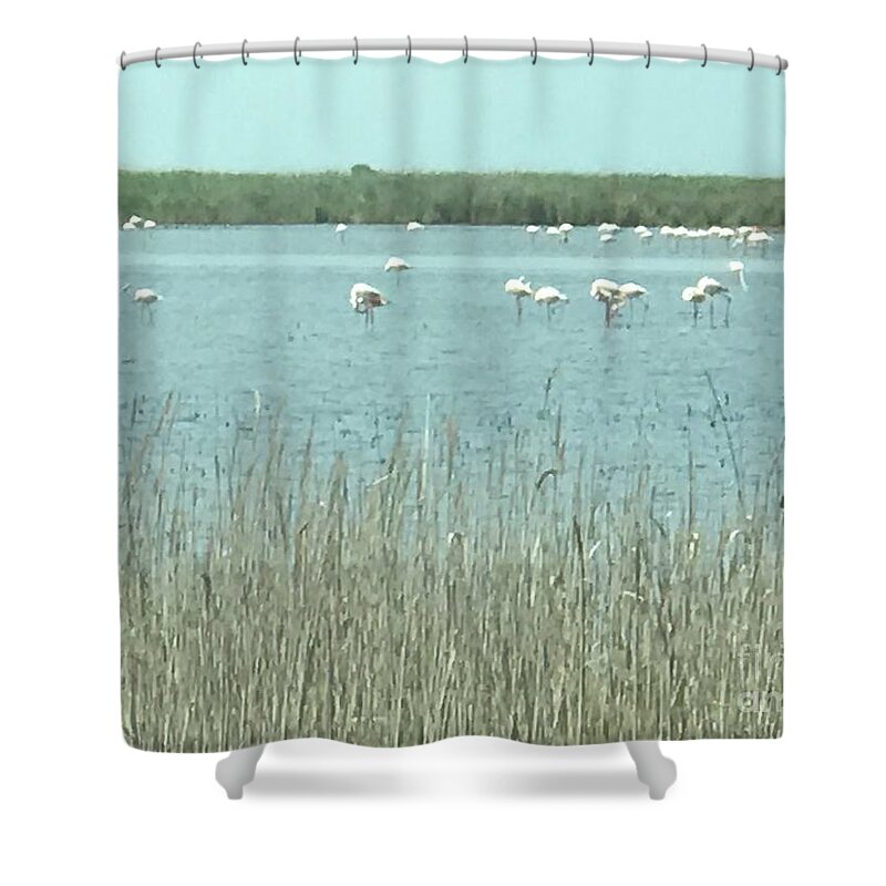 Flamingo Shower Curtain featuring the photograph French Flamingo Reunion by Nadine Rippelmeyer