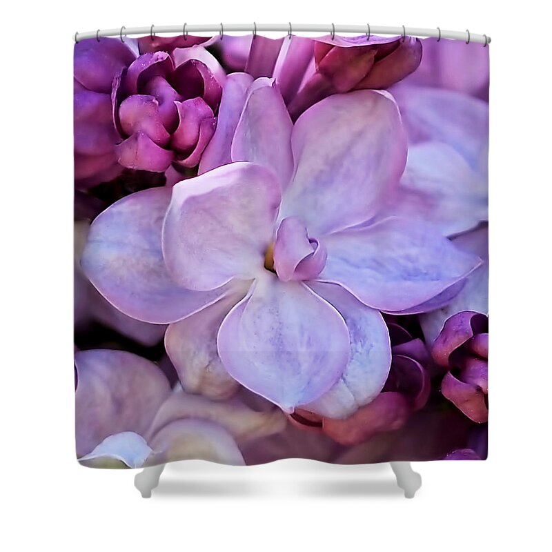 French Lilac Shower Curtain featuring the photograph French Lilac Flower by Rona Black