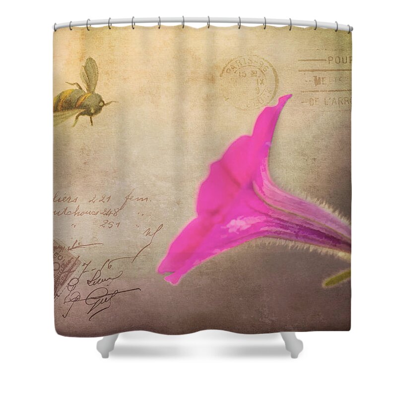 Postcard Shower Curtain featuring the photograph French Post by Cathy Kovarik