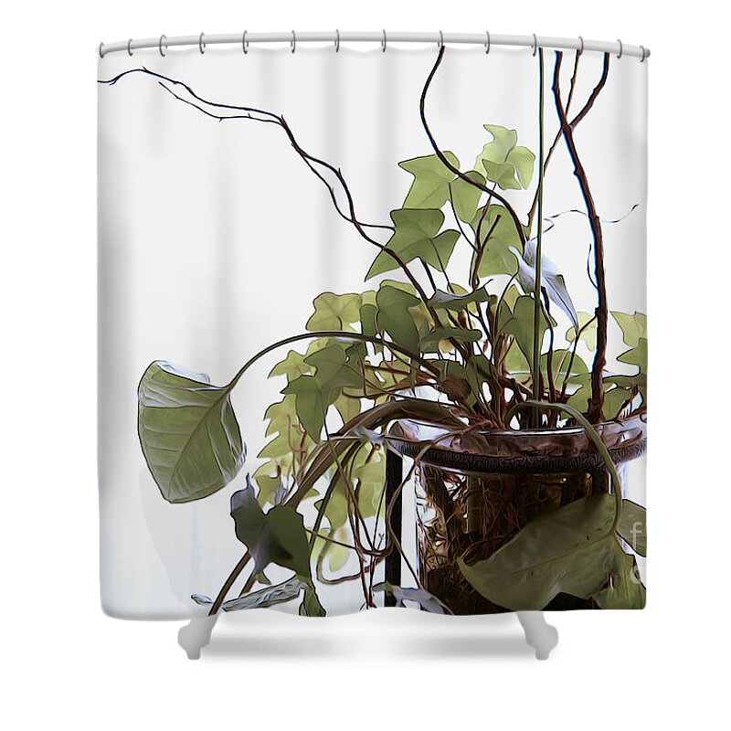 House Plants Shower Curtain featuring the photograph Fresh Cuttings by Yvonne Wright