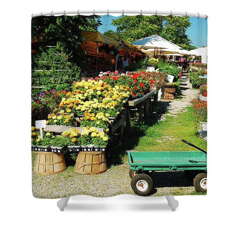 South Shower Curtain featuring the photograph Fresh from the Farm by James Kirkikis