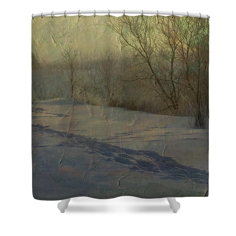 Snow Shower Curtain featuring the photograph Fresh Tracks by Mary Wolf